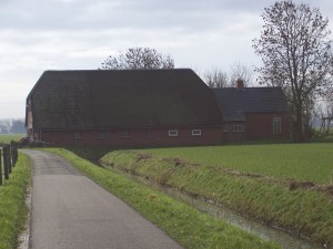 boerderij febr 07 005